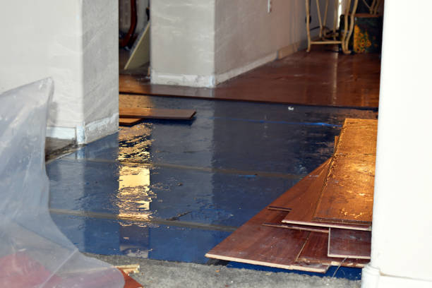 Professional Water Damage Restoration technician working in Wimberley, TX